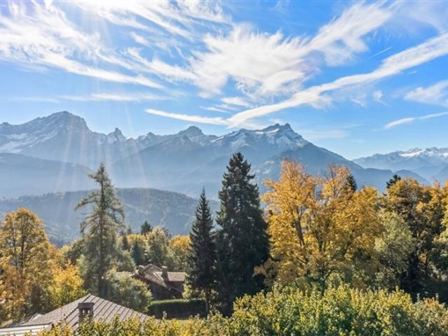 Haus kaufen in Villars-sur-Ollon, Waadt