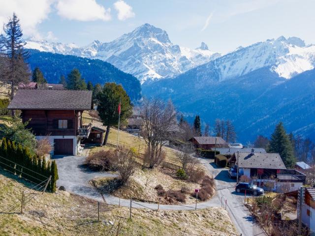 Haus kaufen in Gryon, Waadt