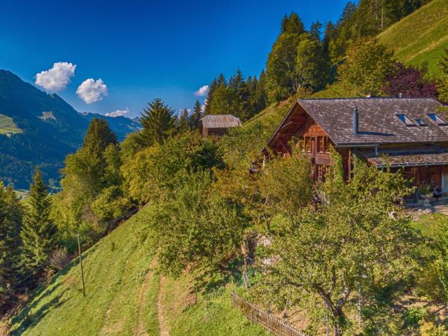 Haus kaufen in Rougemont, Waadt