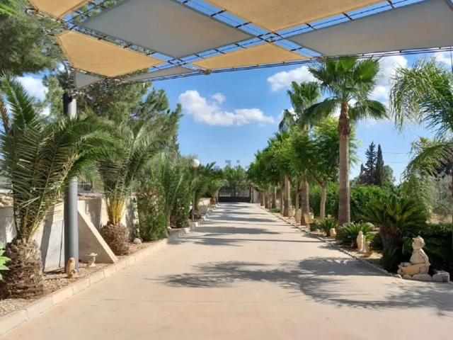 Casa en venta en Molina De Segura, La Albarda