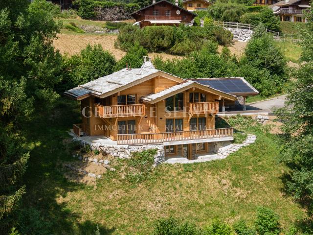 Haus kaufen in Gryon, Waadt