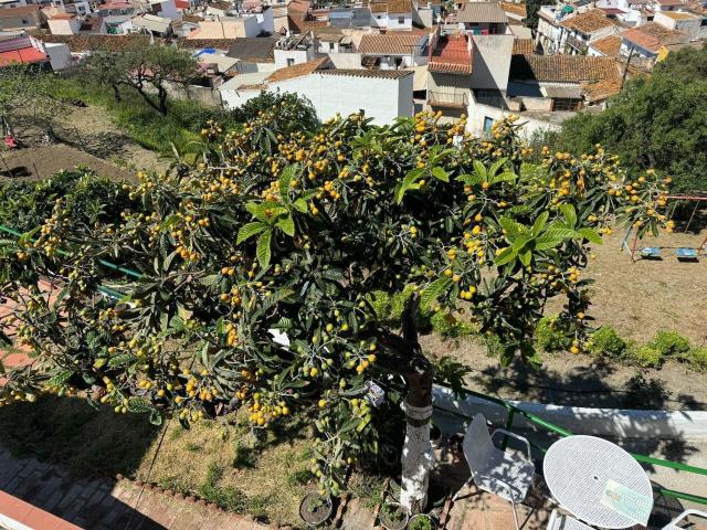 Casa en venta en Cruz del Cordero, La Axarquía