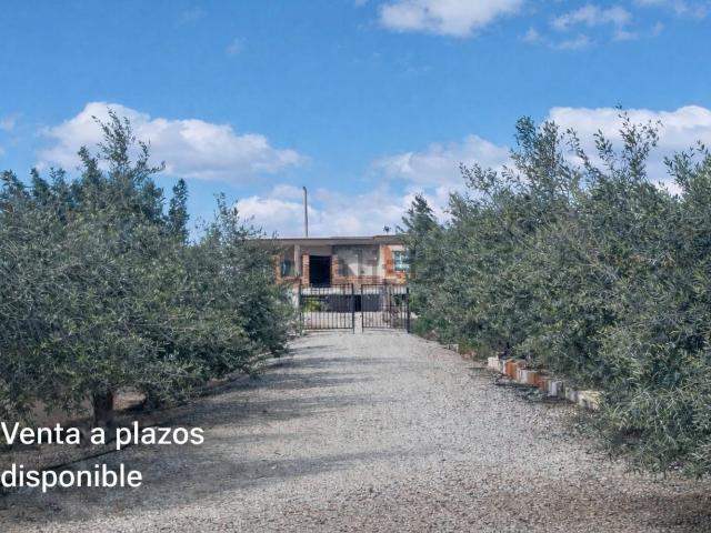 Casa en alquiler en el Baix Segura / La Vega Baja, Valencia