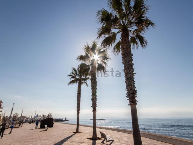Casa en venta en Nou Llevant, Palma