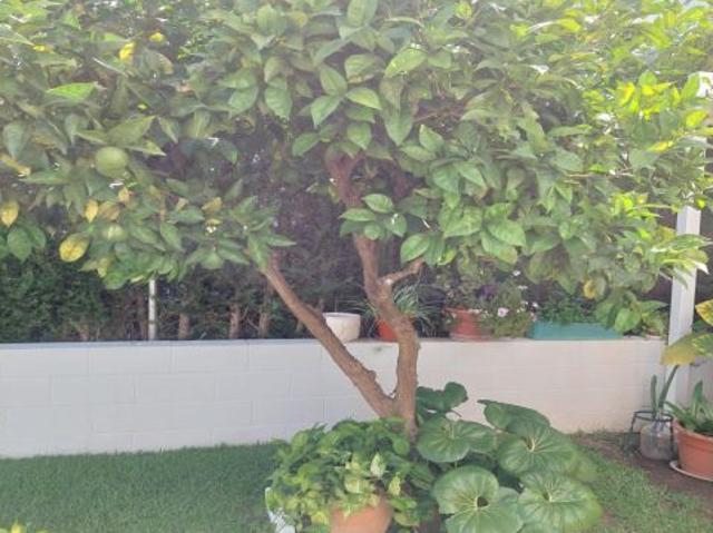 Casa en venta en Urbanización El Lorón, Gines