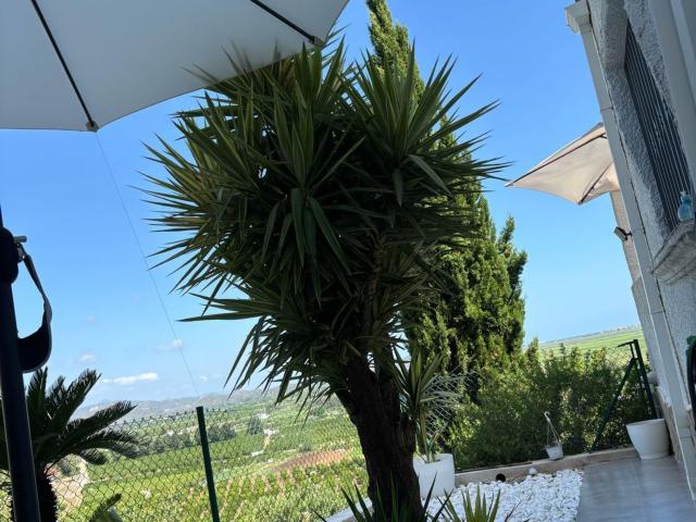 Casa en alquiler en la Marina Alta, Valencia