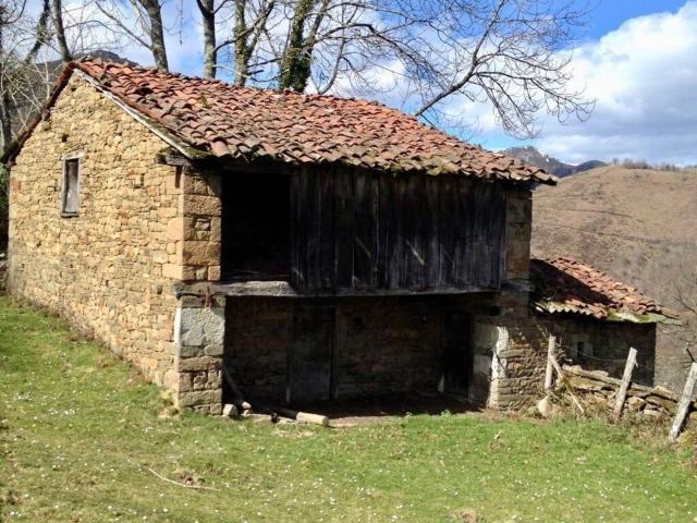 Casa en venta en Caso, Asturias