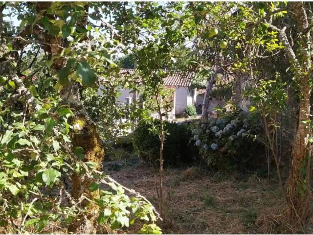 Casa en venta en O Carballiño, Galicia