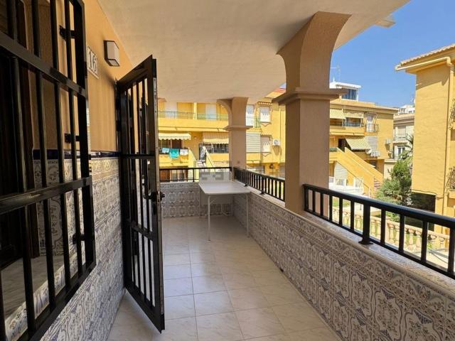 Casa en alquiler en Urbanización Punta Prima, el Baix Segura / La Vega Baja