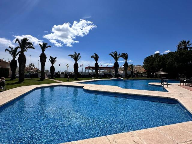 Casa en alquiler en Playa Flamenca II, el Baix Segura / La Vega Baja