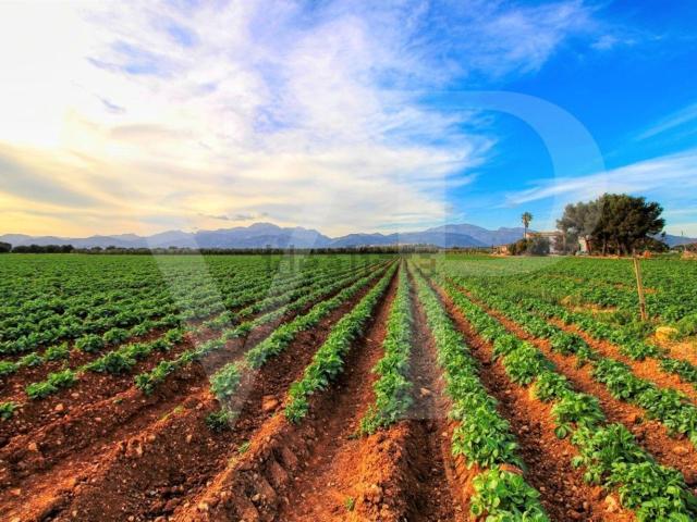 Casa en venta en Raiguer, Baleares