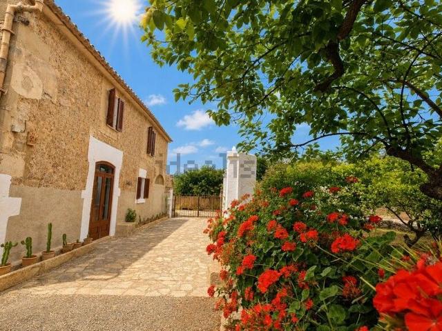 Casa en alquiler en Serra de Tramuntana, Baleares