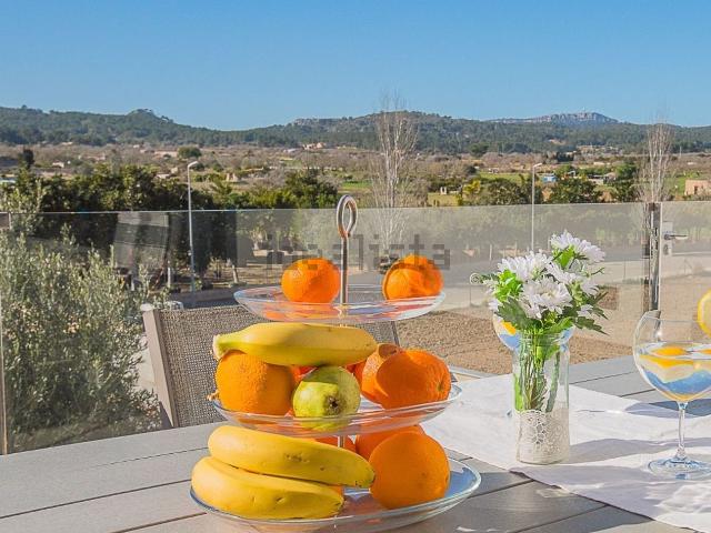 Casa en alquiler en Pla de Mallorca, Baleares