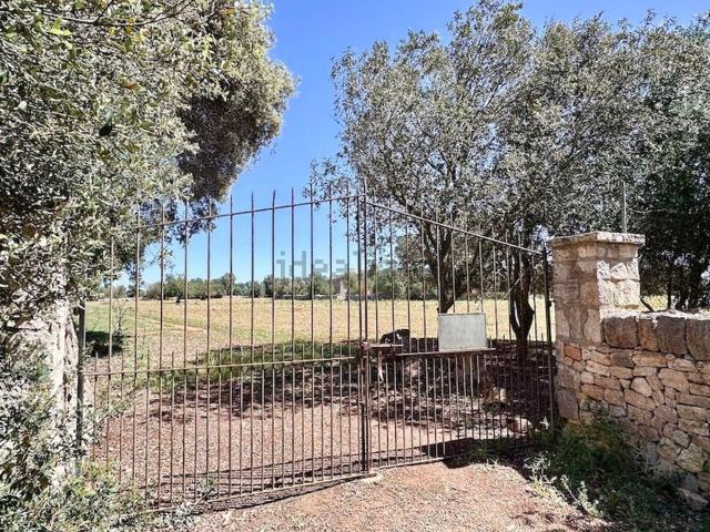 Casa en venta en Pla de Mallorca, Baleares
