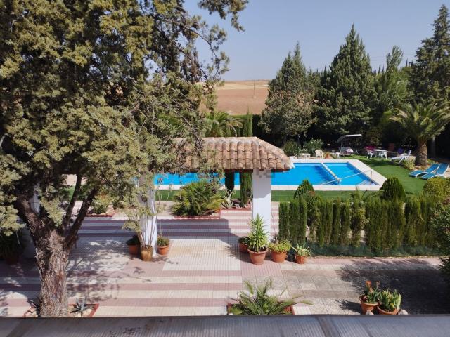 Casa en venta en Pozuelo De Calatrava, Castilla-La Mancha