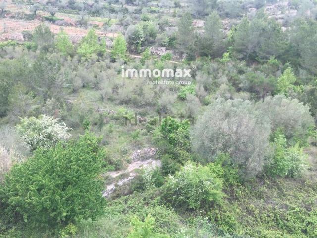 Casa en venta en Priorat, Catalunya
