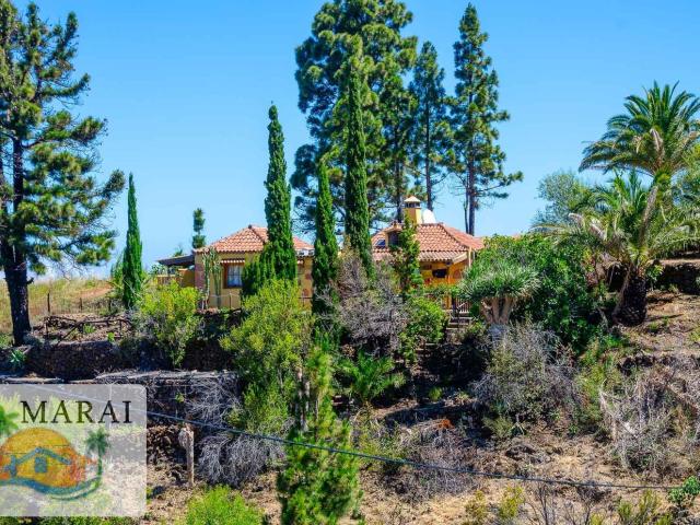 Casa en venta en La Palma, Puntagorda