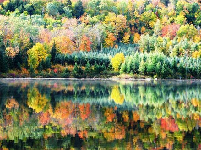 House for rent in Mauricie, Quebec