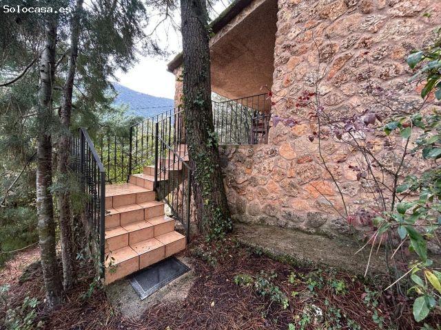 Local Comercial en venta en Parque Residencial Los Pinos, Riópar