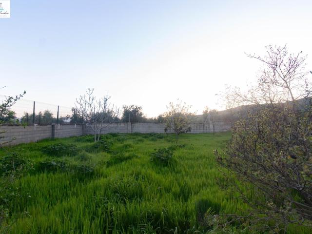 Casa en venta en Nororma, Andalucía