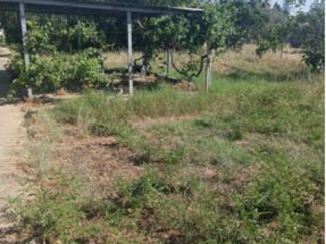 Chalet en venta en Carmona, Andalucía