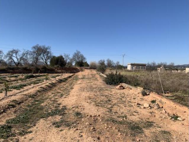 Chalet en venta en el Camp de Túria, Valencia