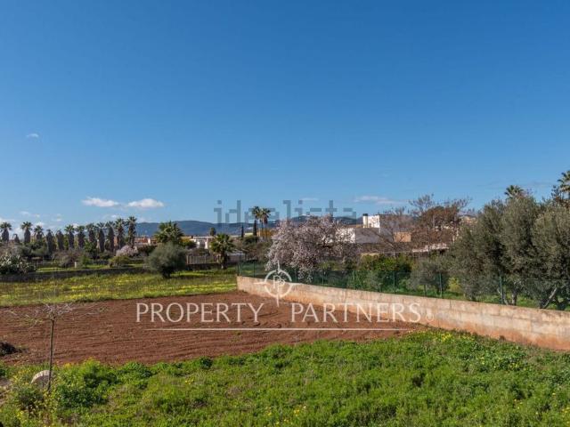 Casa en venta en sa Indioteria, Palma