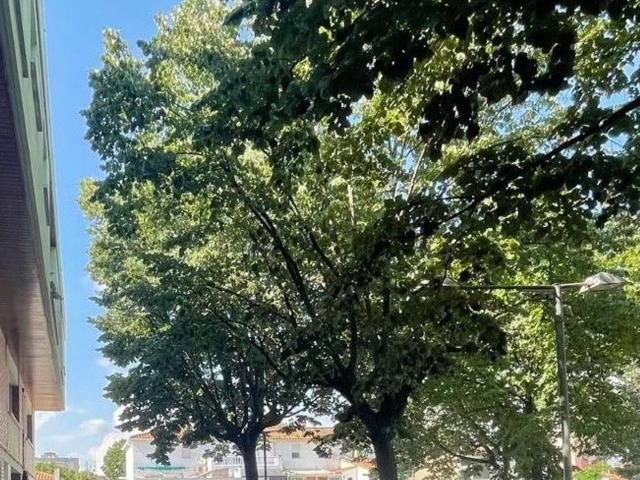 Casa en venta en Gironès, Catalunya