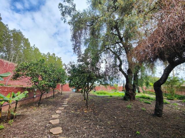 Casa en venta en San Cristóbal de La Laguna, Canarias