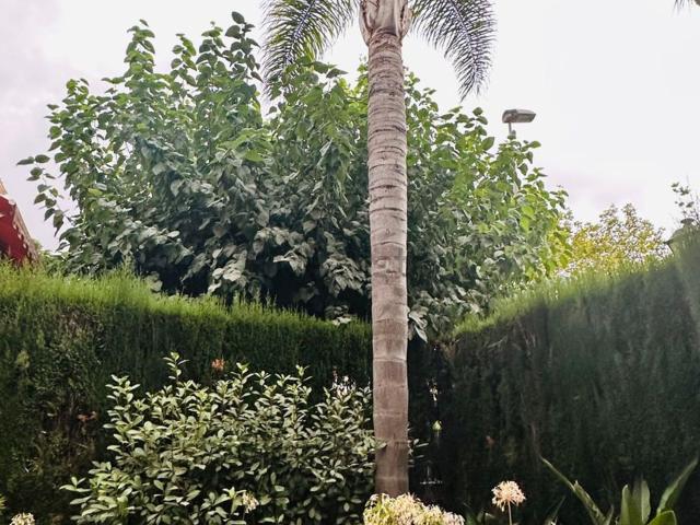 Casa en venta en Benimagrell, l'Alacantí