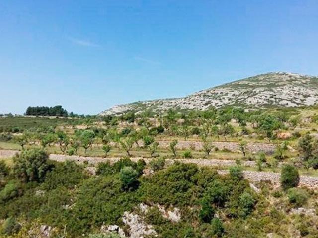 Casa en venta en el Baix Maestrat, Valencia