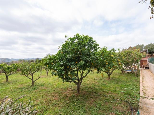 Casa en venta en Santa Gertrudis de Fruitera, Eivissa