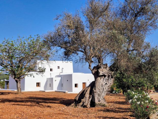 Casa en alquiler en Sant Carles de Peralta, Santa Eulalia Del Río