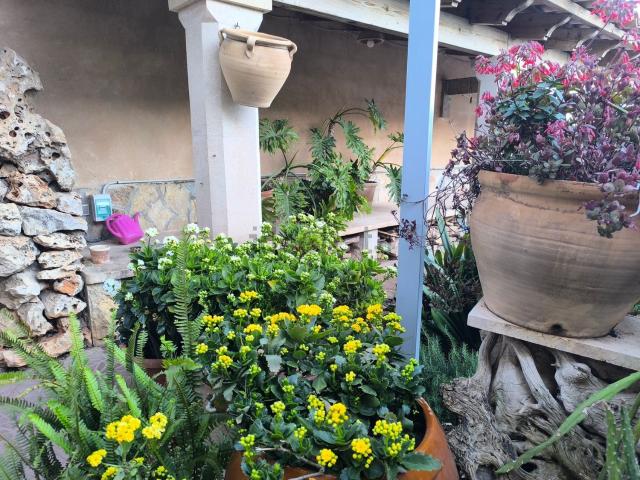 Casa en venta en Raiguer, Baleares