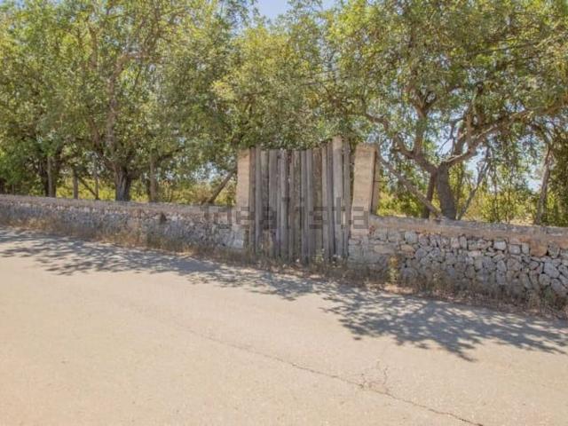 Casa en venta en Santa María Del Cami, sa Vileta