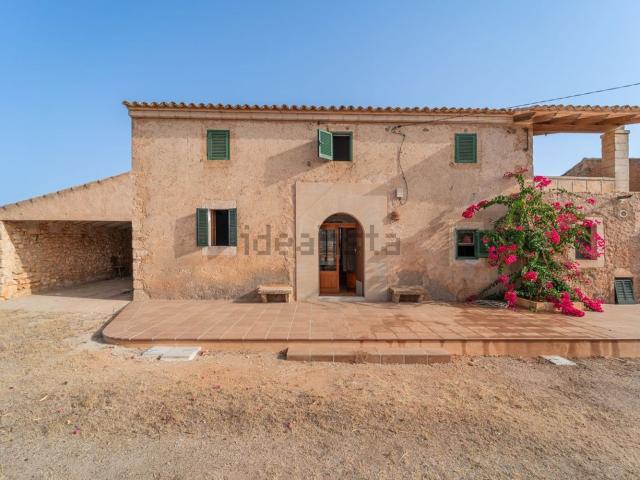 Casa en alquiler en s'Alqueria Blanca, Migjorn