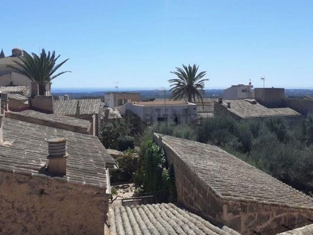 Casa en venta en s'Alqueria Blanca, Migjorn