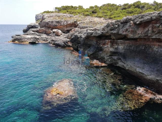 Casa en alquiler en Salines, Ses, Baleares