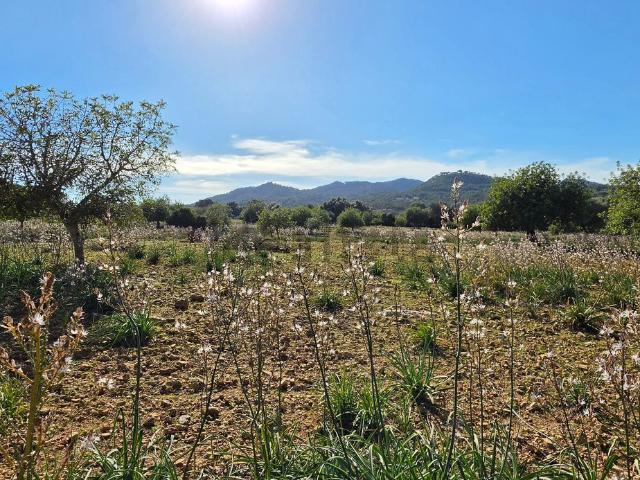 Casa en venta en s'Alqueria Blanca, Santanyí