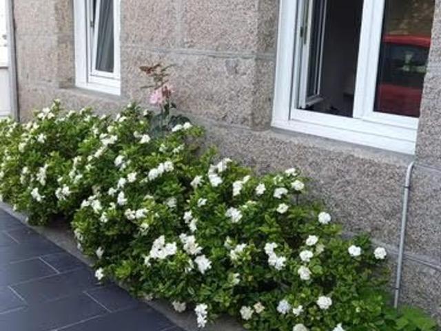 Casa en venta en Sanxenxo, Fontoira