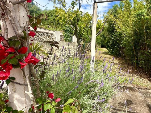 Casa en alquiler en Raiguer, Baleares