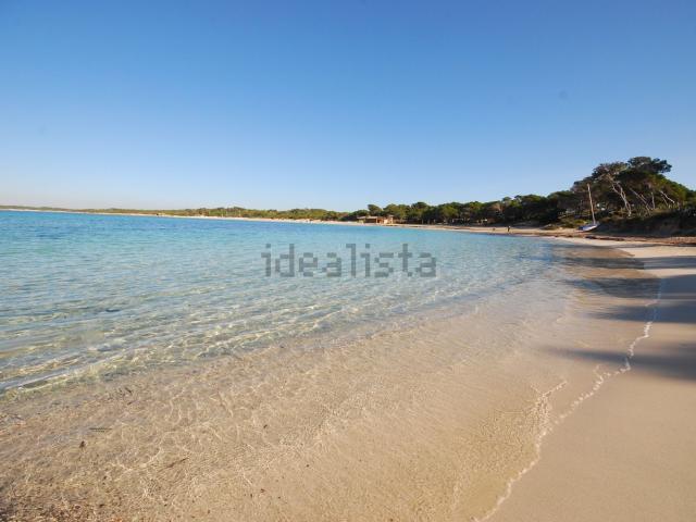 Casa en alquiler en Salines, Ses, Colònia de Sant Jordi