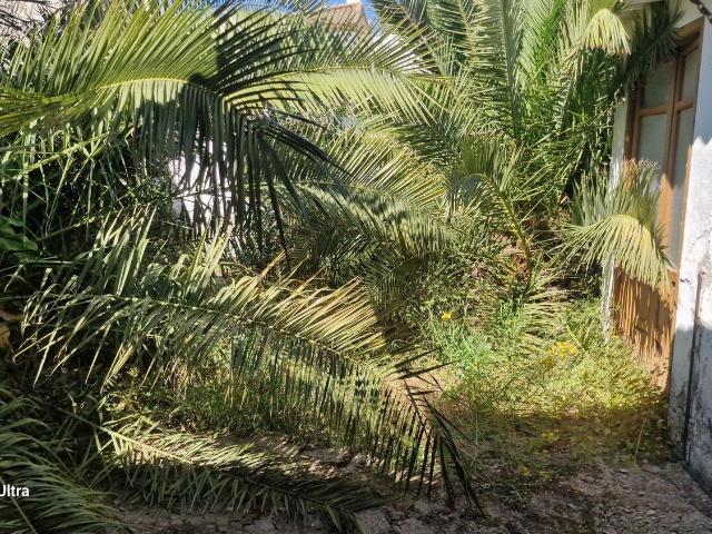 Casa en venta en Sierra De Yeguas, Málaga