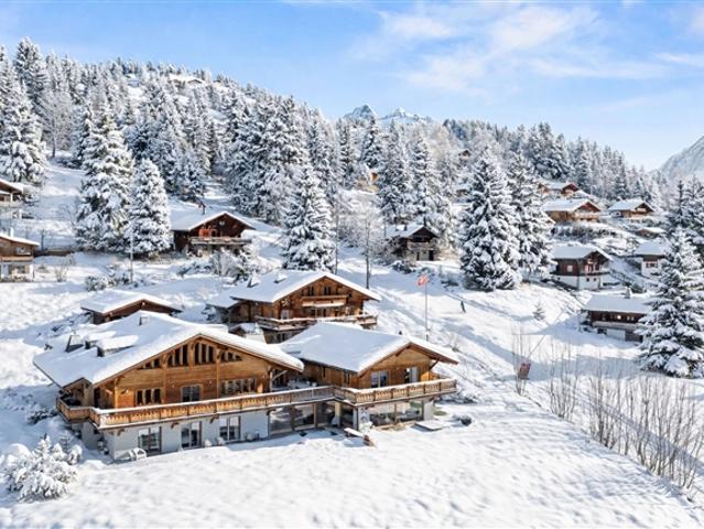 Haus kaufen in Ollon (VS), Waadt