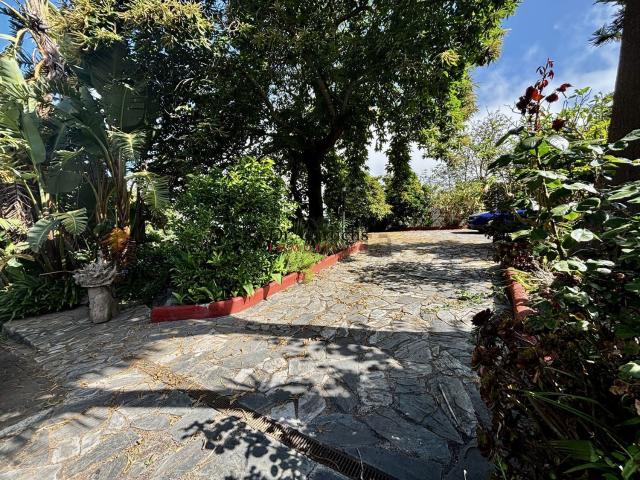 Casa en venta en Tacoronte, Canarias
