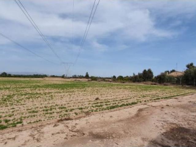 Casa en venta en la Tómbola, l'Alacantí