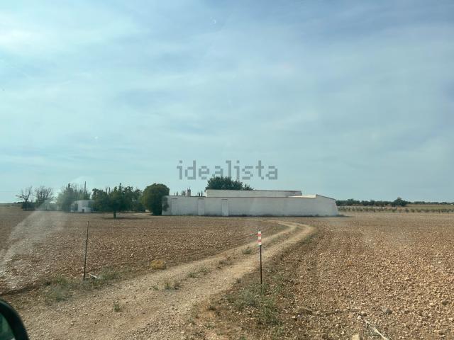 Casa en venta en Torralba De Calatrava, Castilla-La Mancha