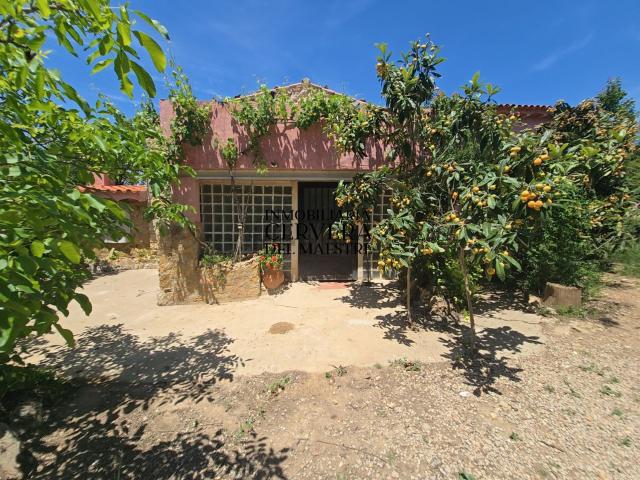 Casa en venta en l'Alt Maestrat, Valencia