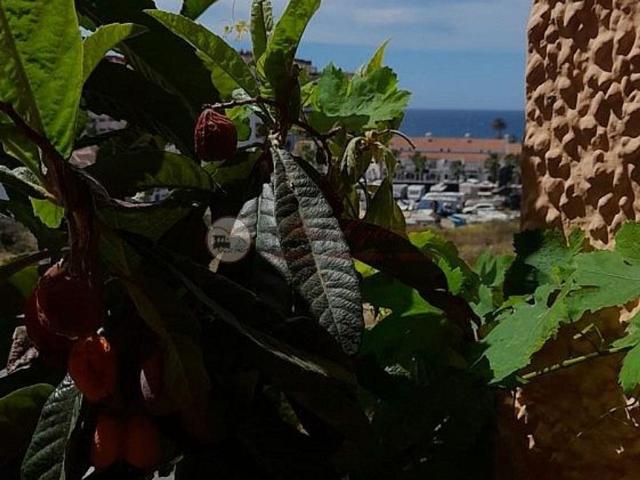 Casa en venta en Castillo Bajo-Conejito, La Axarquía