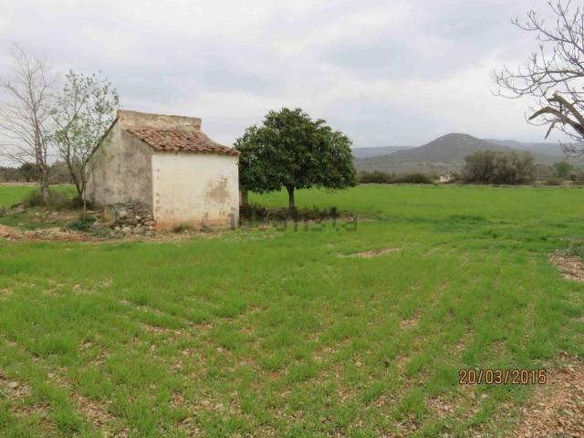 Casa en venta en Montsià, Catalunya